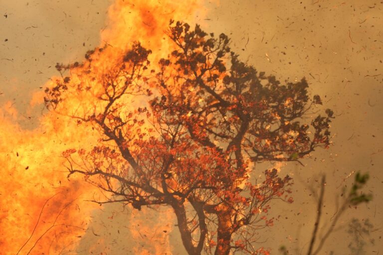 Foto mostra incêndio na terra indígena no Amazonas no dia 15 de setembro. — Foto: Bruno Kelly/Reuters